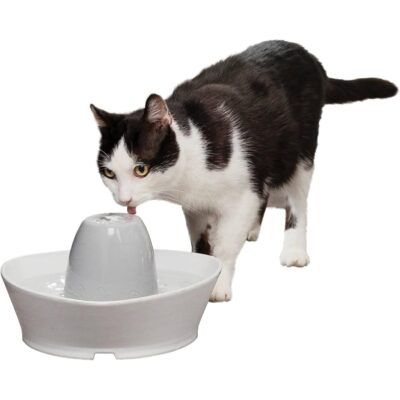 PetSafe Ceramic Pet Fountain
