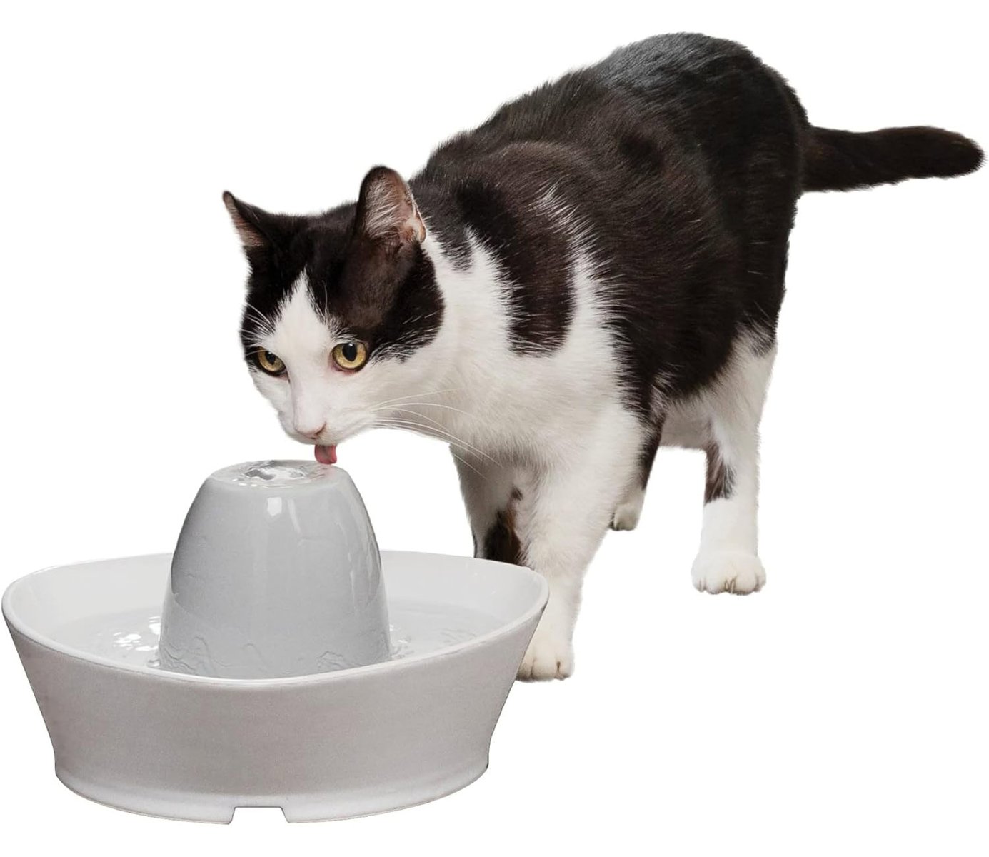 PetSafe Creekside Ceramic Pet Fountain