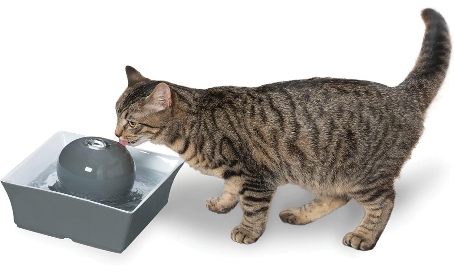 PetSafe Drinkwell Ceramic Pet Water Fountain