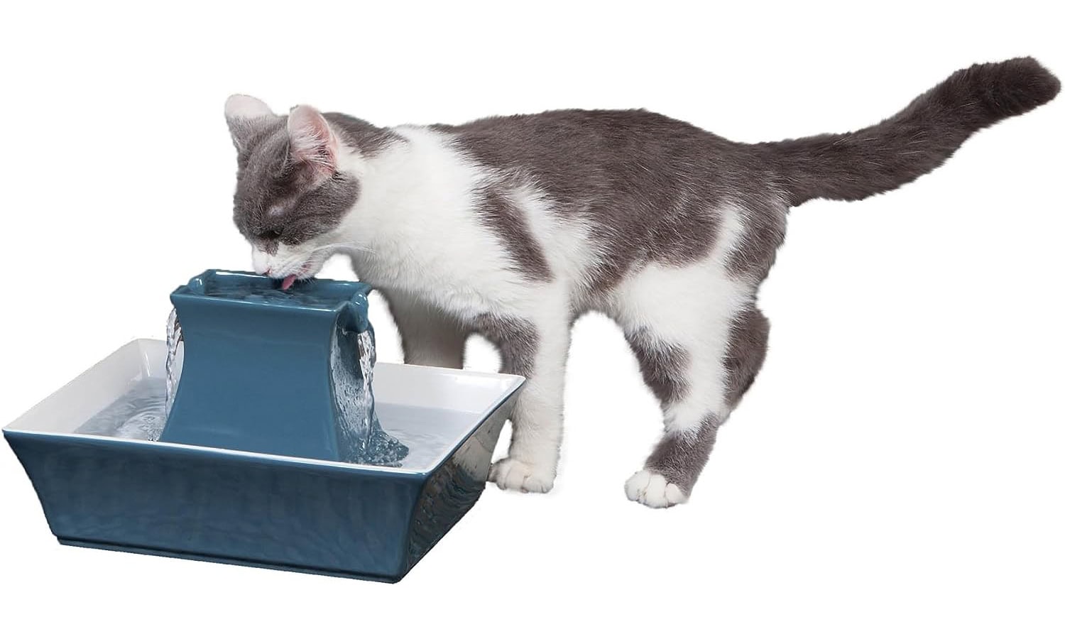 PetSafe Drinkwell Pagoda Pet Fountain