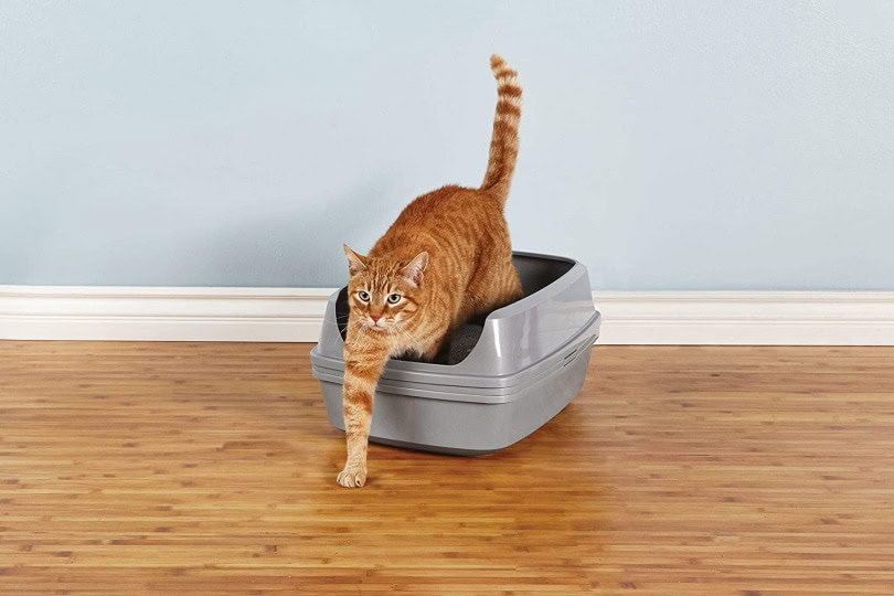 Petco Brand cat litter box_Amazon