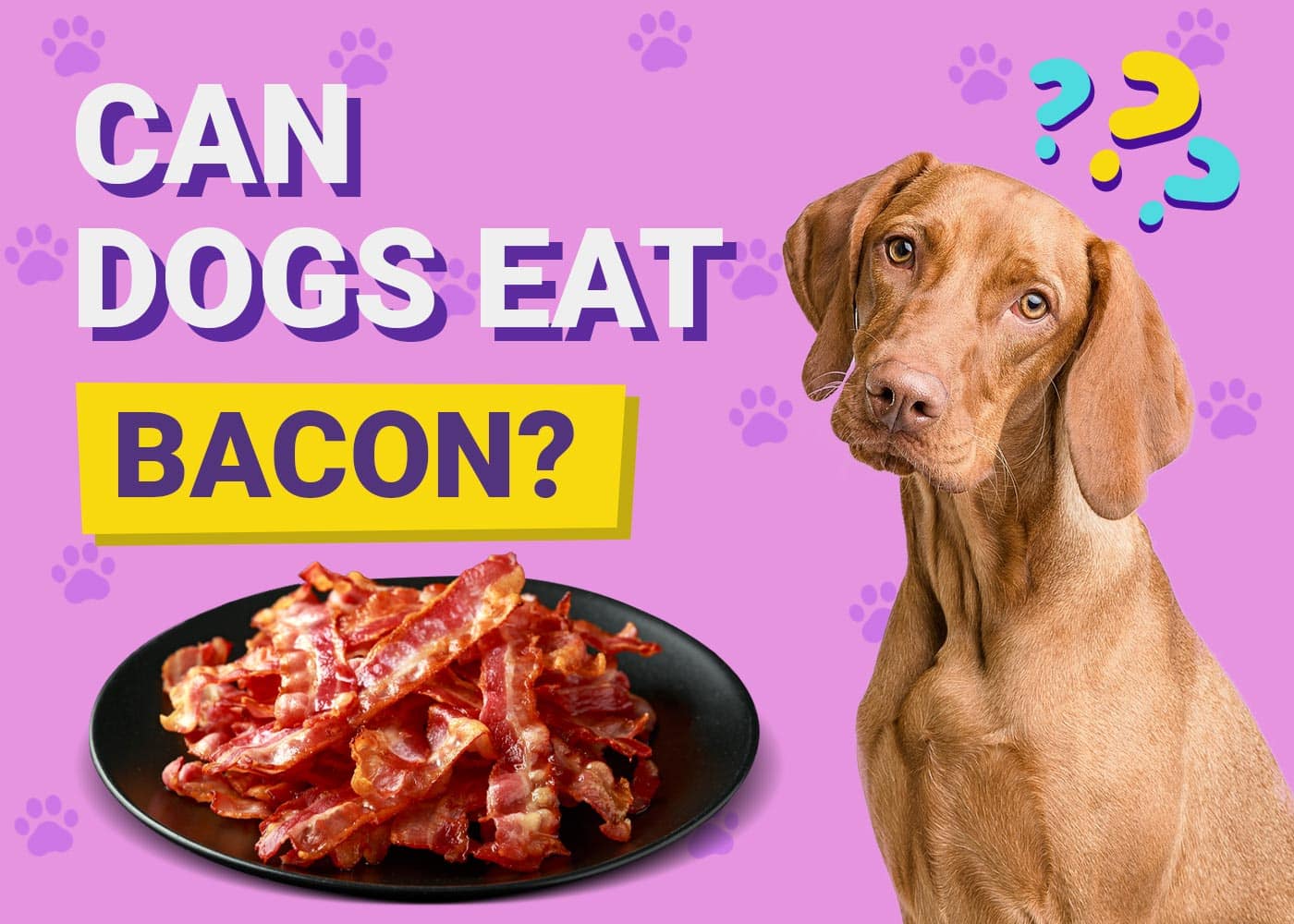 Can Dogs Eat Bacon