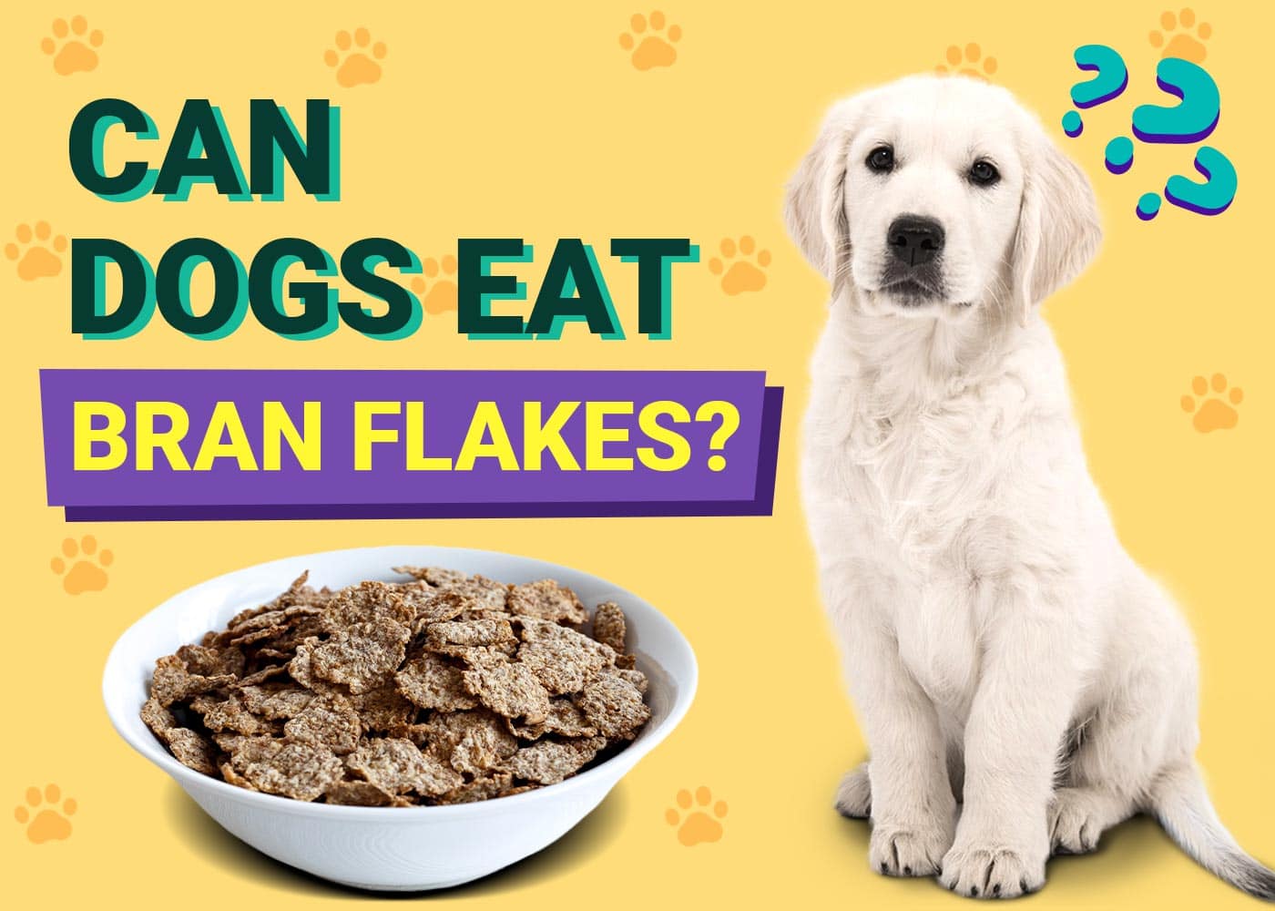 Can Dogs Eat Bran Flakes