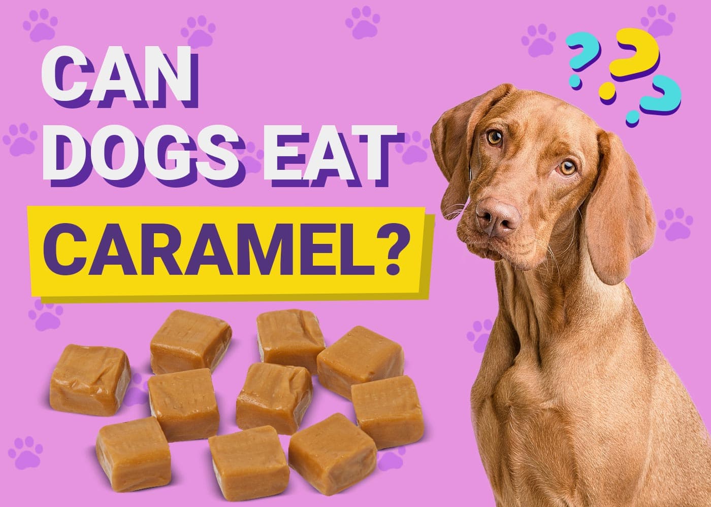 Can Dogs Eat Caramel