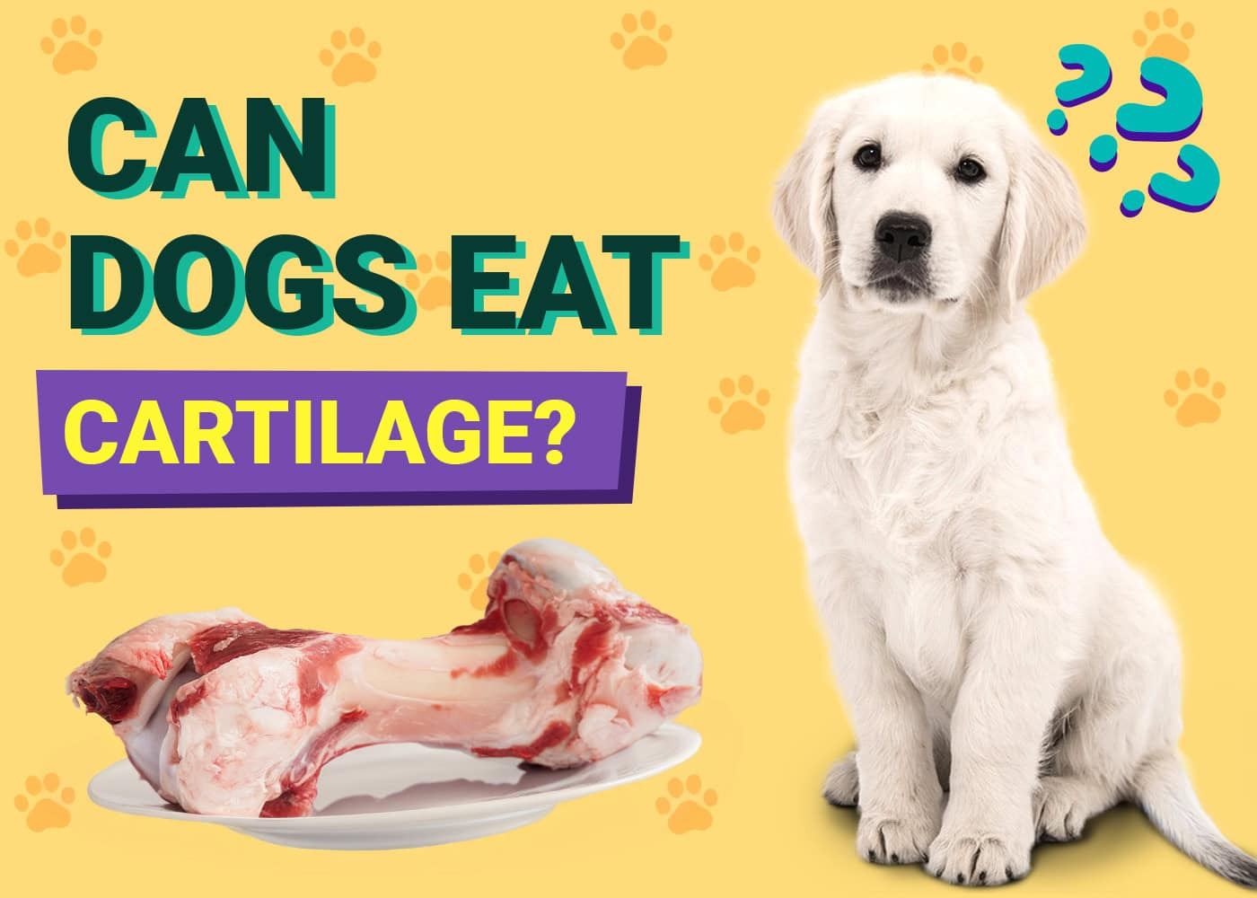 Can Dogs Eat Cartilage