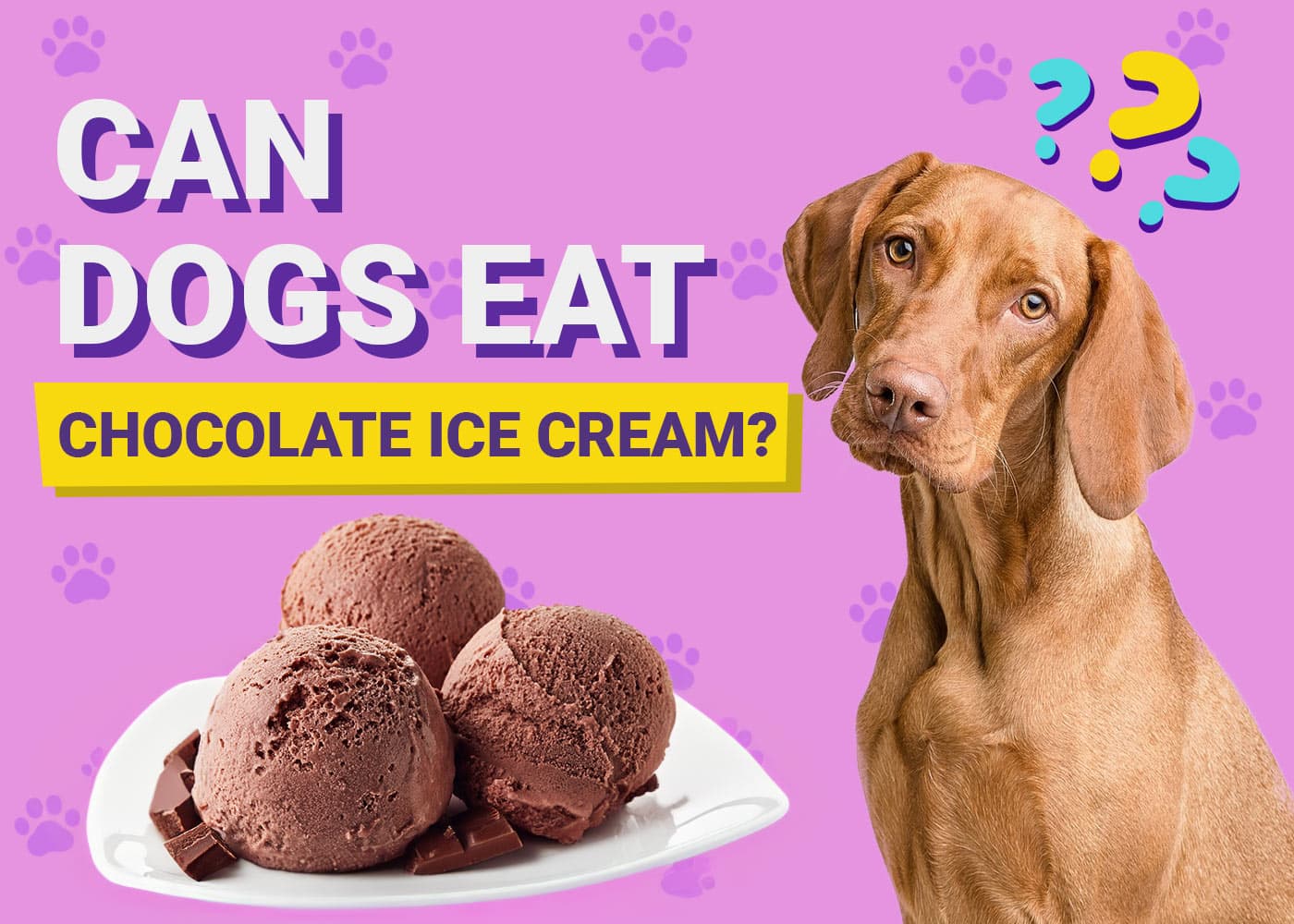 Can Dogs Eat Chocolate Ice Cream