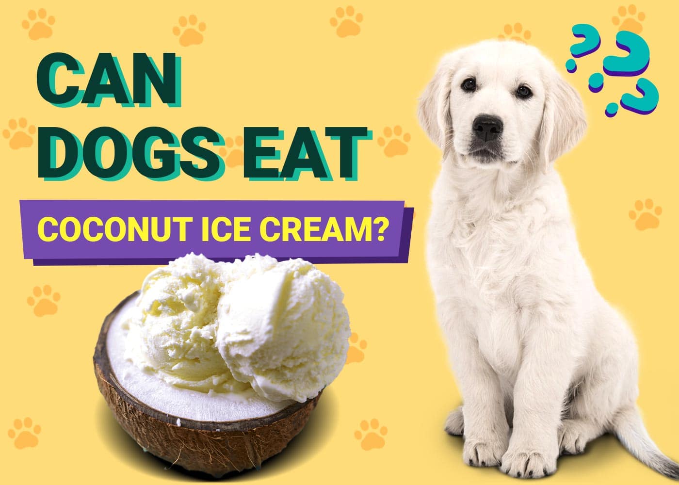 Can Dogs Eat Coconut Ice Cream