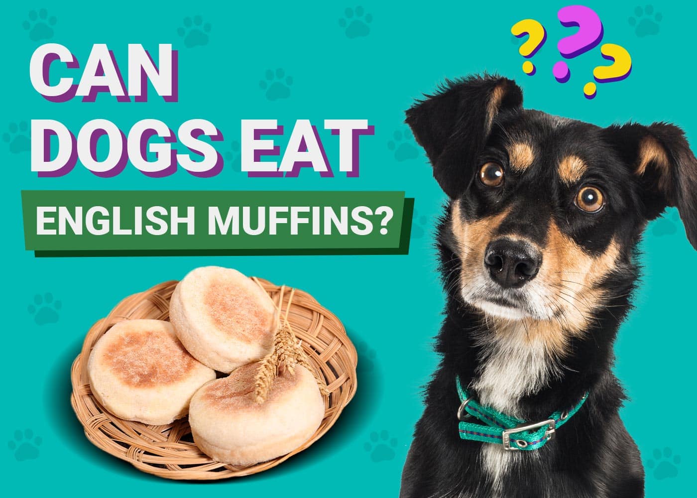 Can Dogs Eat English Muffins