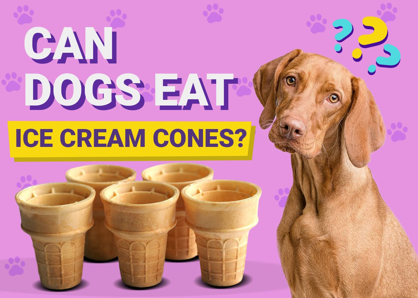 Can Dogs Eat Ice Cream Cones