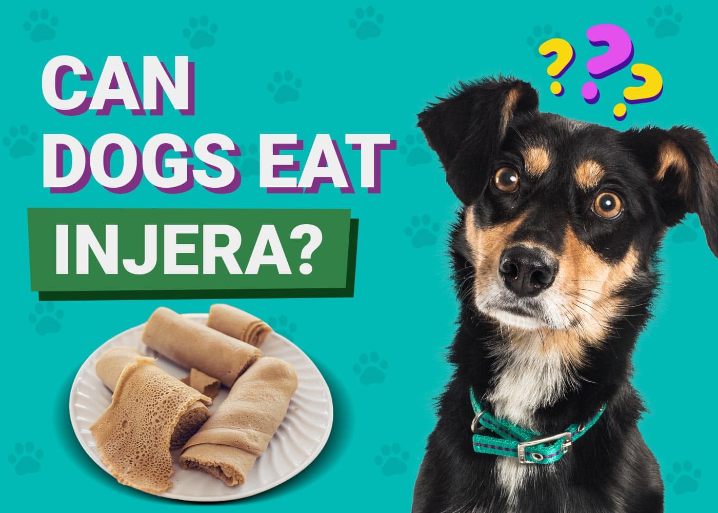 Can Dogs Eat Injera