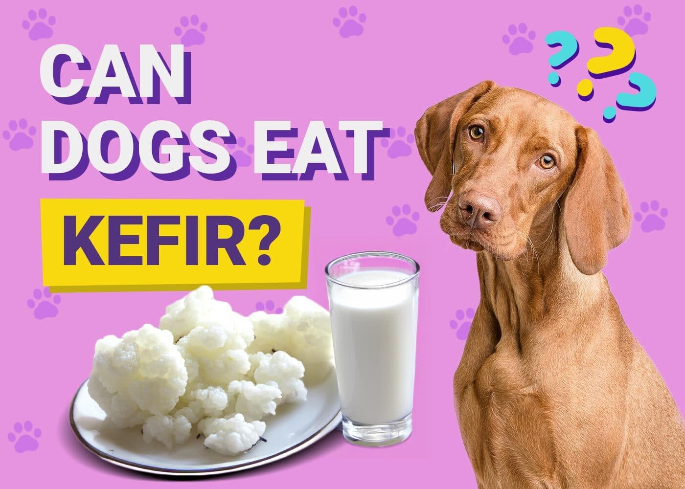 Can Dogs Eat Kefir