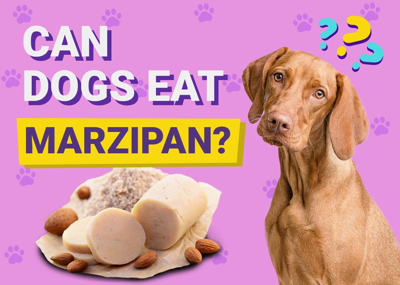 Can Dogs Eat Marzipan