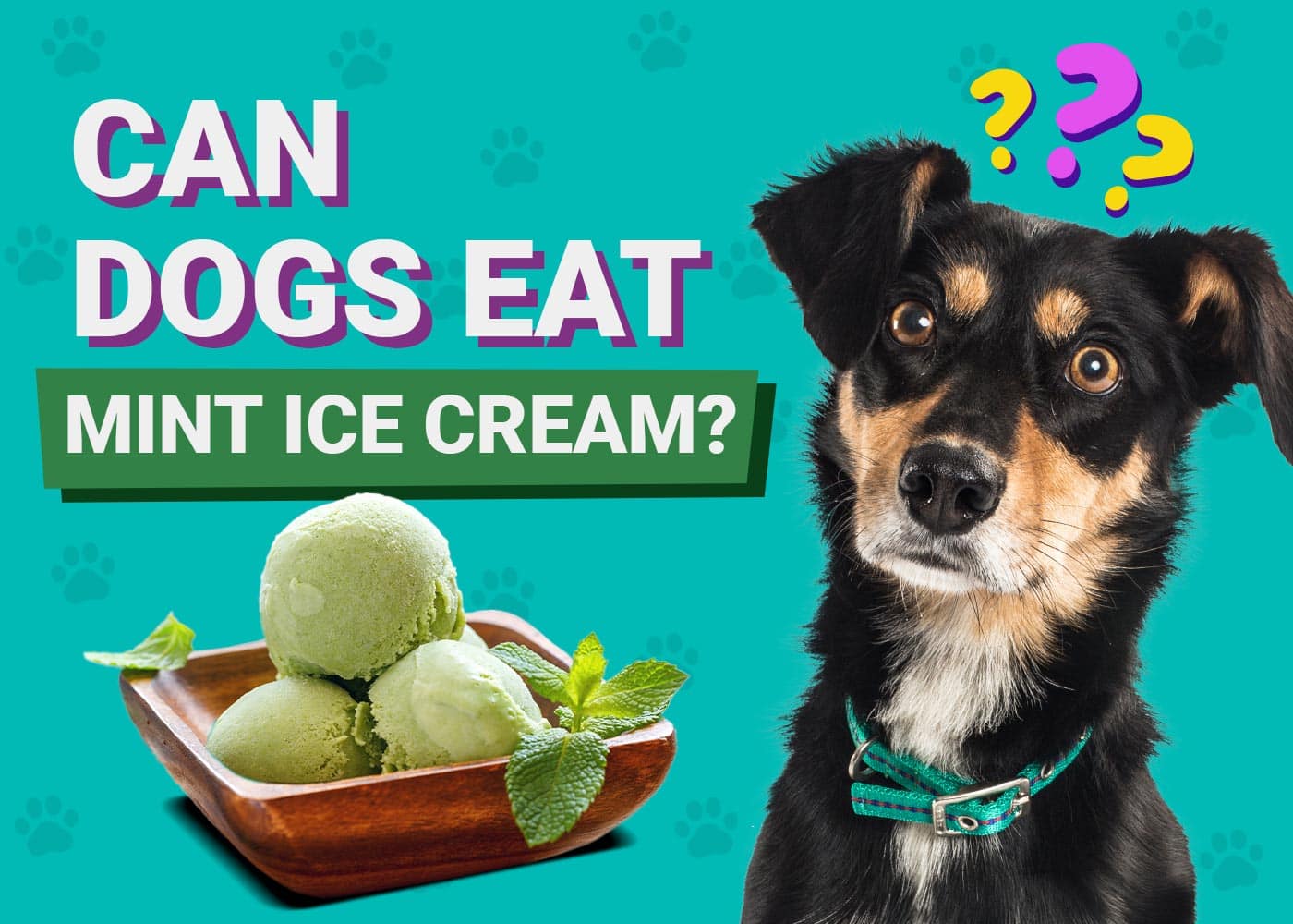 Can Dogs Eat Mint Ice Cream