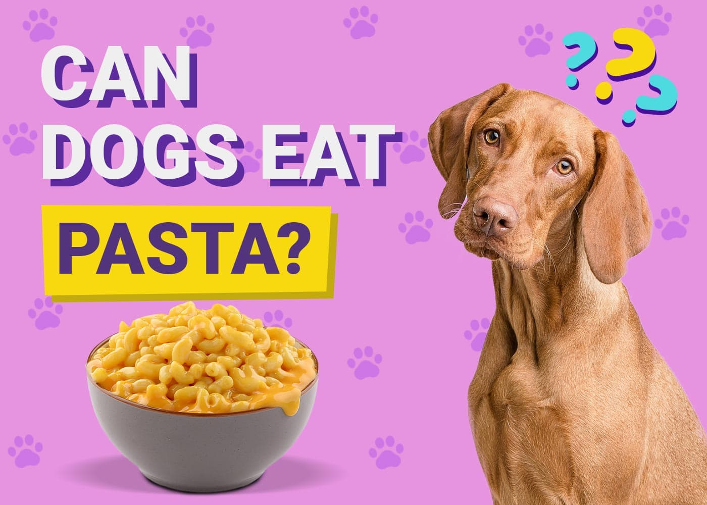 Can Dogs Eat Pasta