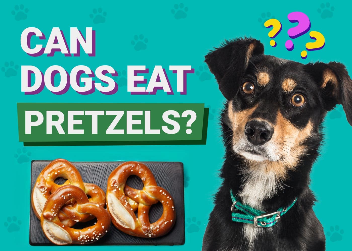 Can Dogs Eat Pretzels