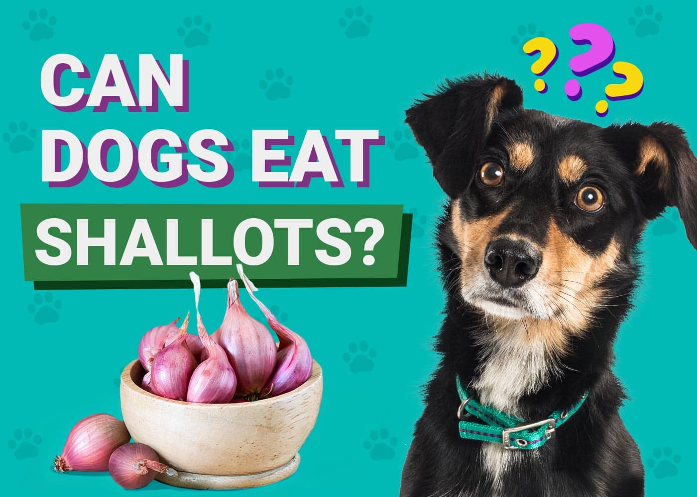 Can Dogs Eat Shallots