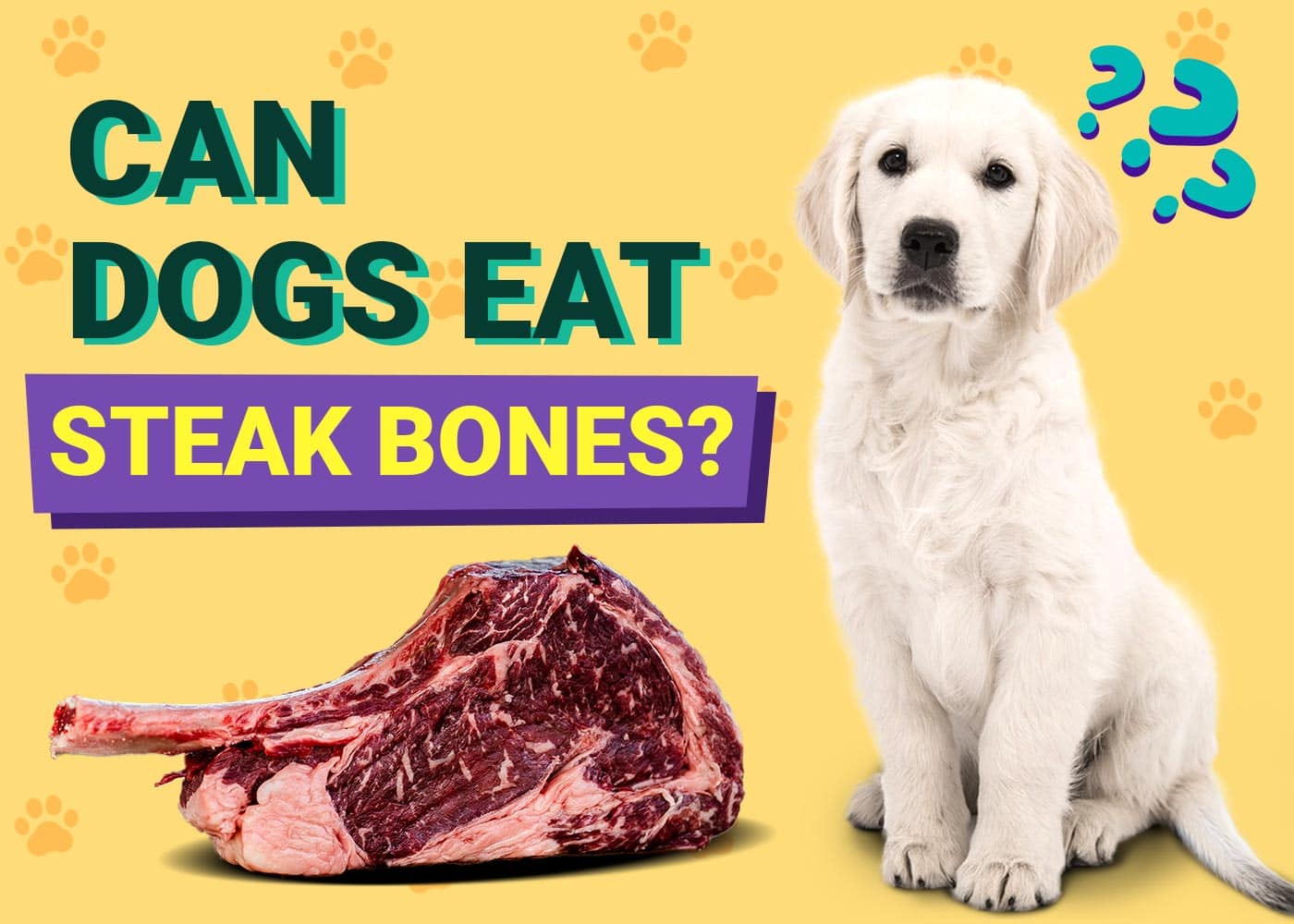 Can Dogs Eat Steak Bones