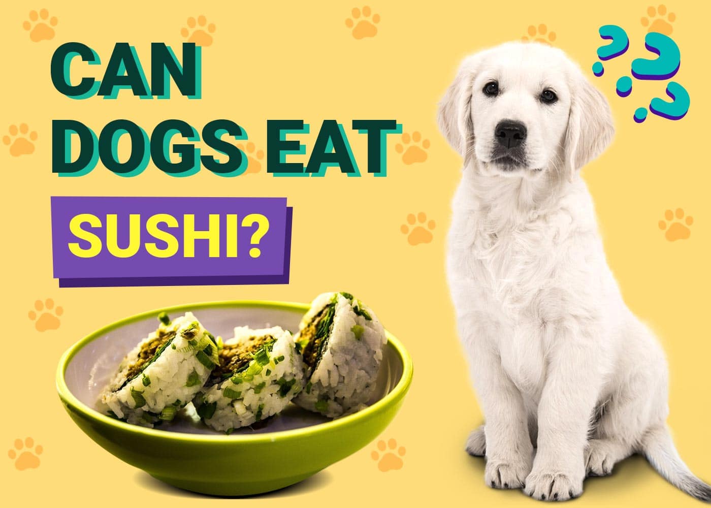 Can Dogs Eat Sushi