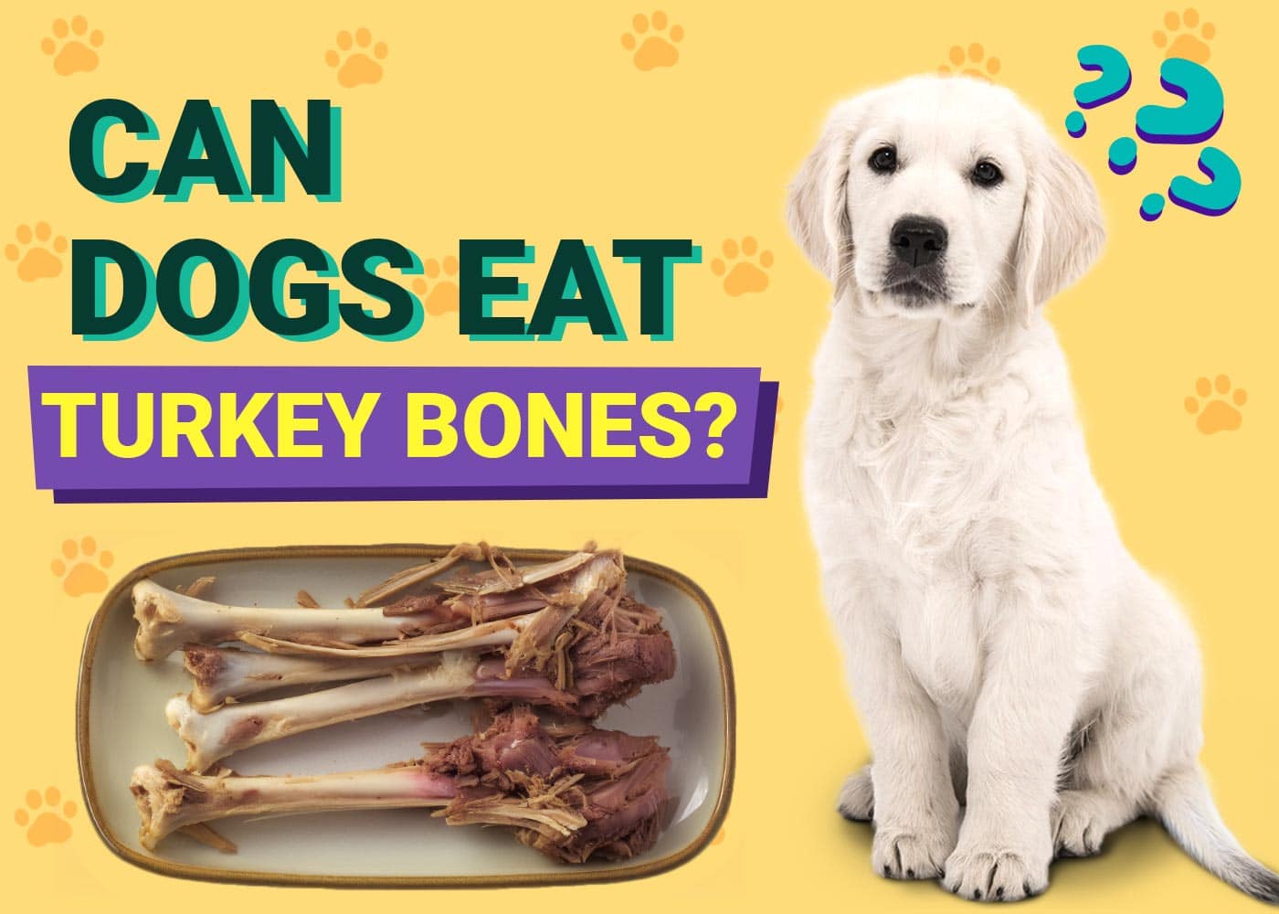 Can Dogs Eat Turkey Bones