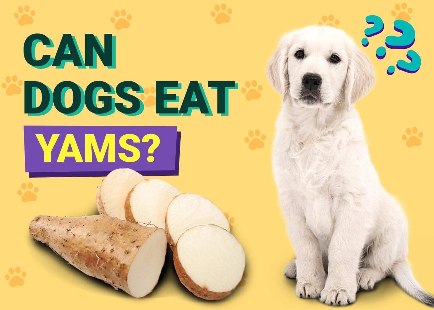 Can Dogs Eat Yams