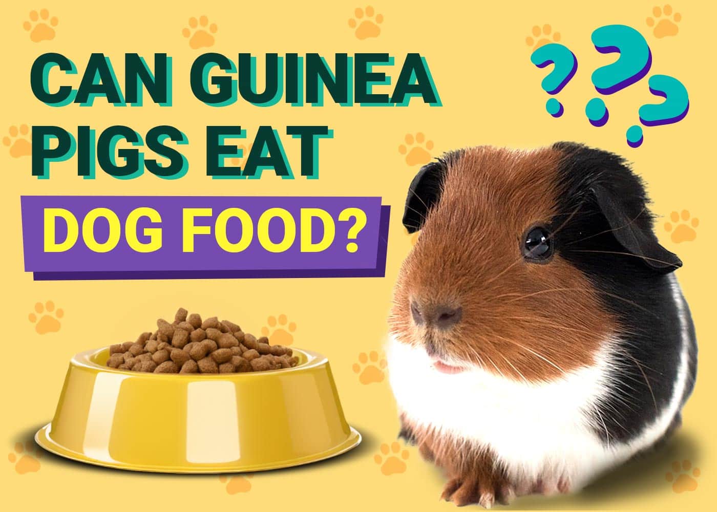 Can Guinea Pigs Eat Dog Food