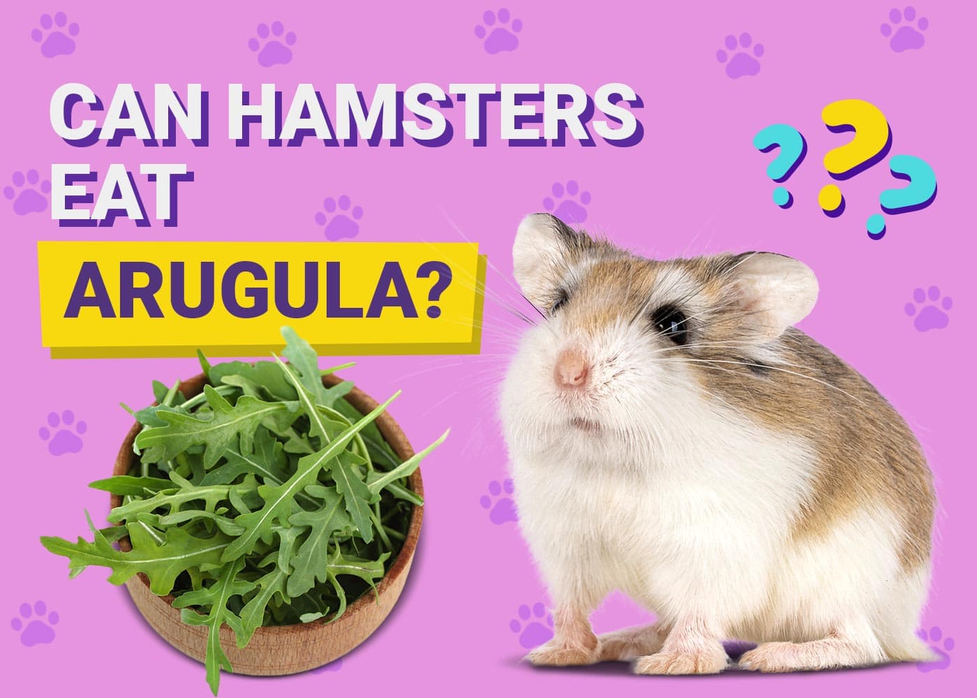 Can Hamsters Eat Arugula