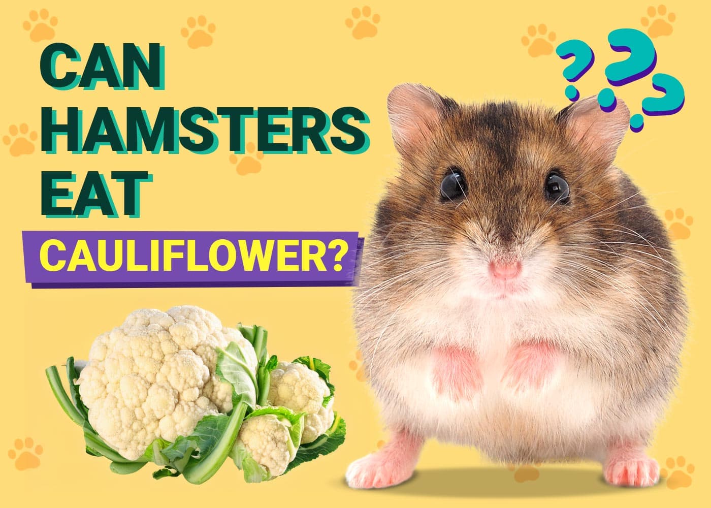 Can Hamsters Eat Cauliflower