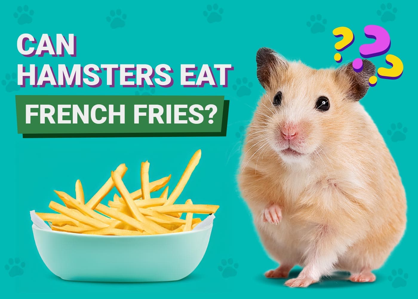 Can Hamsters Eat French Fries
