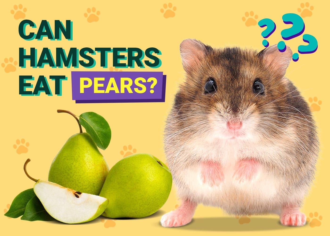 Can Hamsters Eat Pears