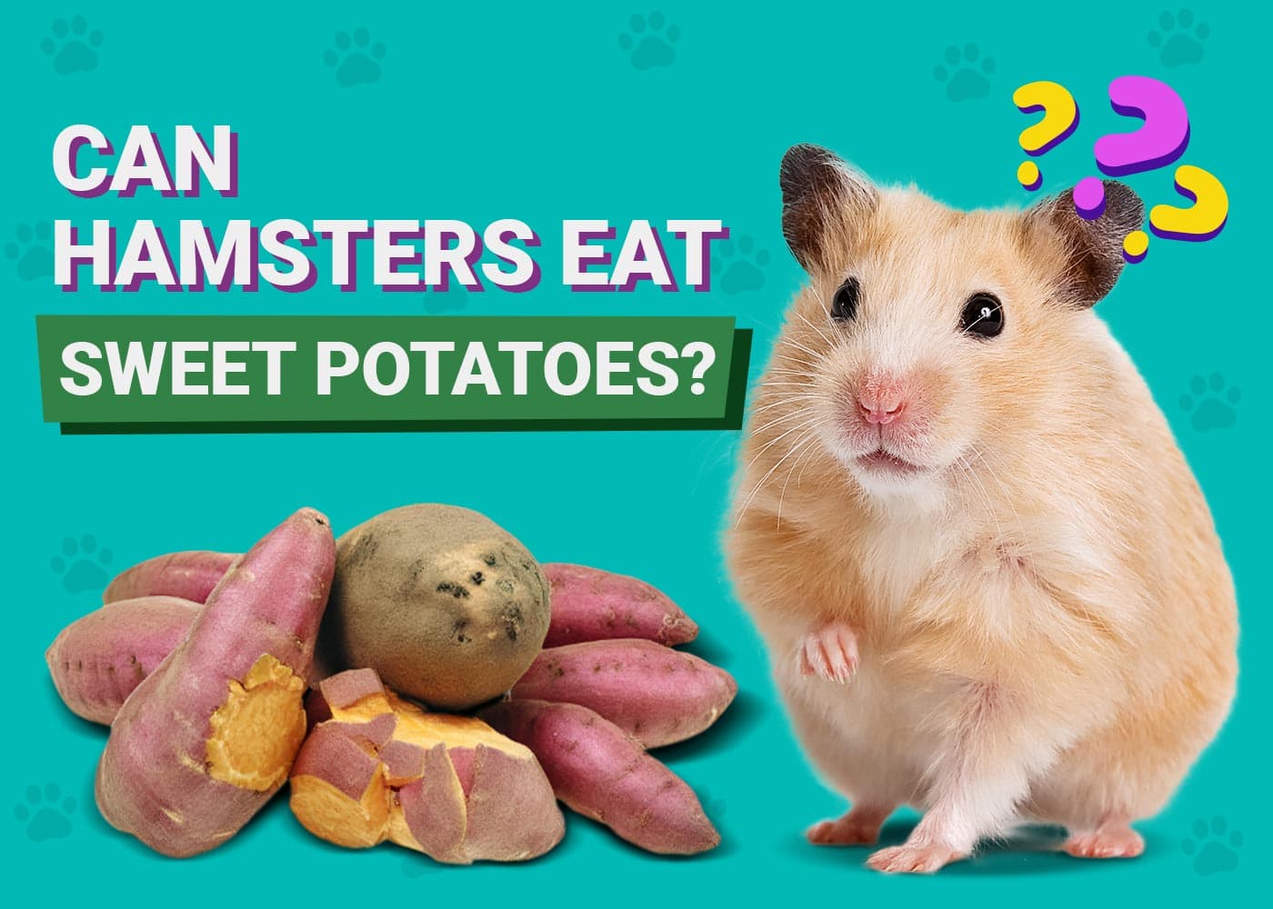 Can Hamsters Eat Sweet Potatoes
