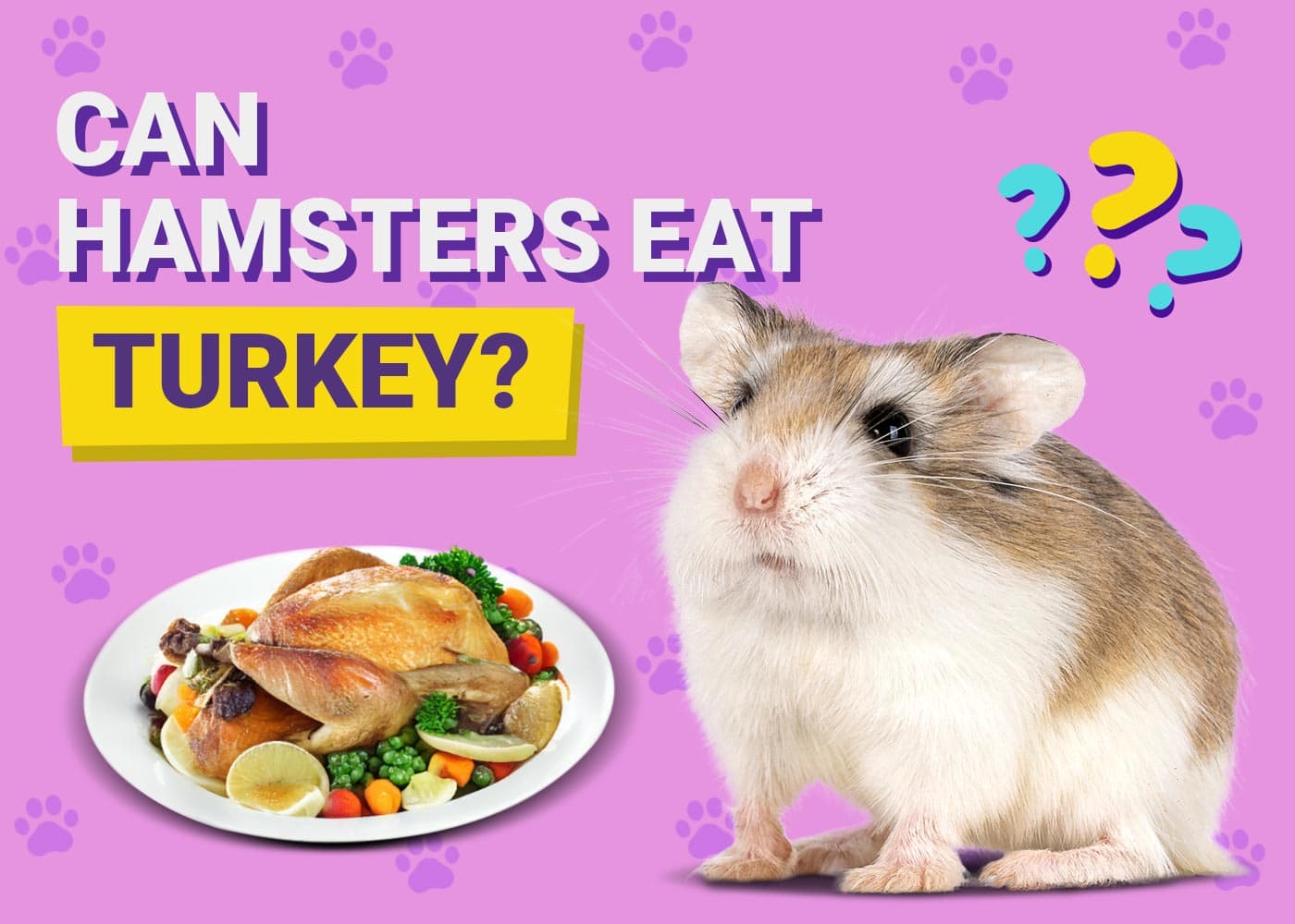 Can Hamsters Eat Turkey
