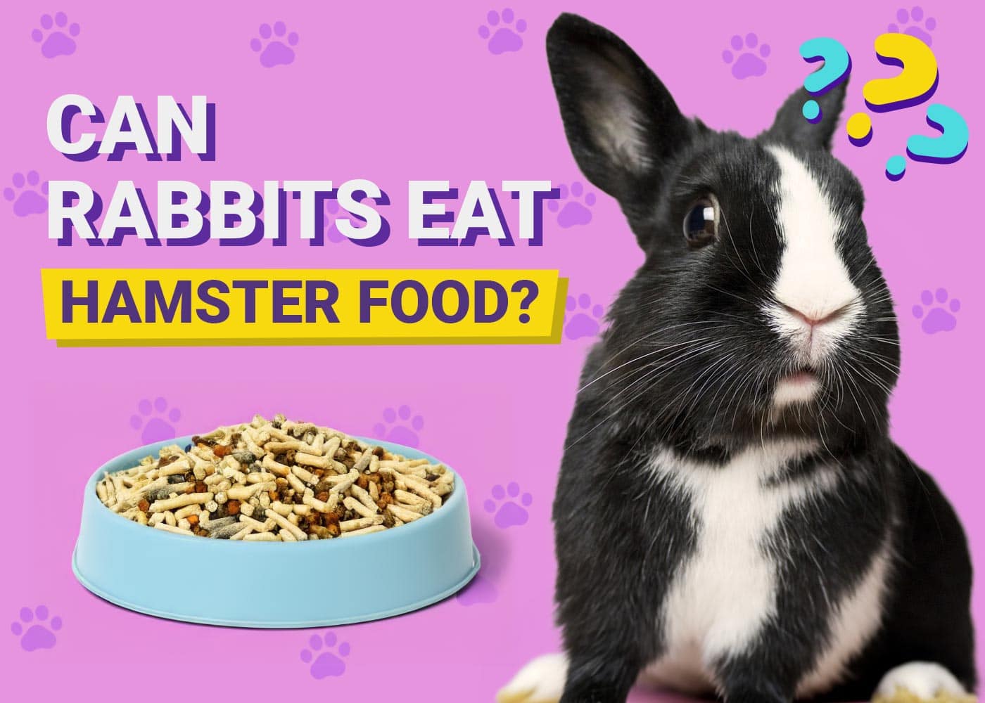 Can Rabbits Eat Hamster Food