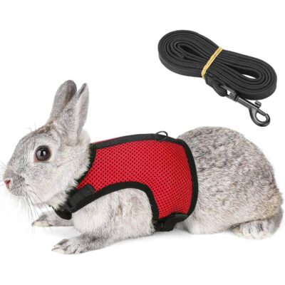 Pettom Bunny Harness