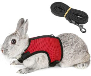 Pettom Bunny Harness