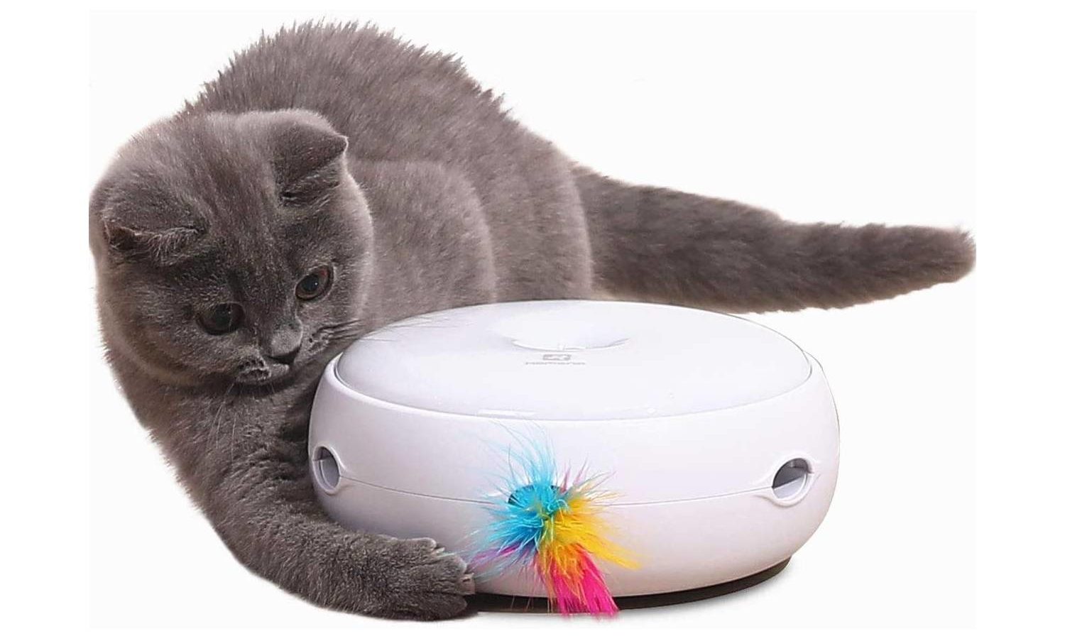 Pettom Interactive Cat Toys With Electronic Rotating Feather (1)