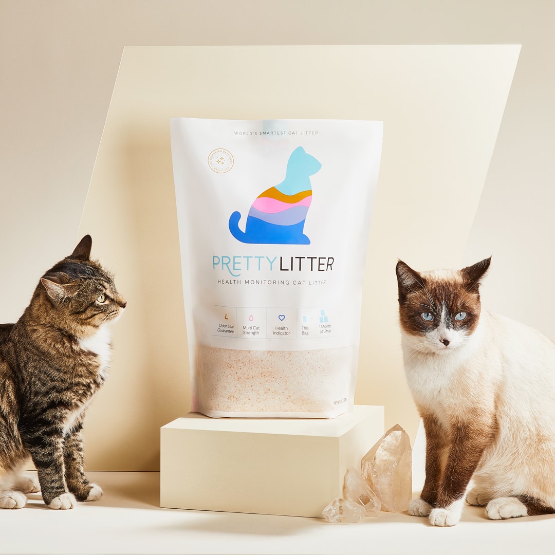 PrettyLitter_two cats with bag of litter