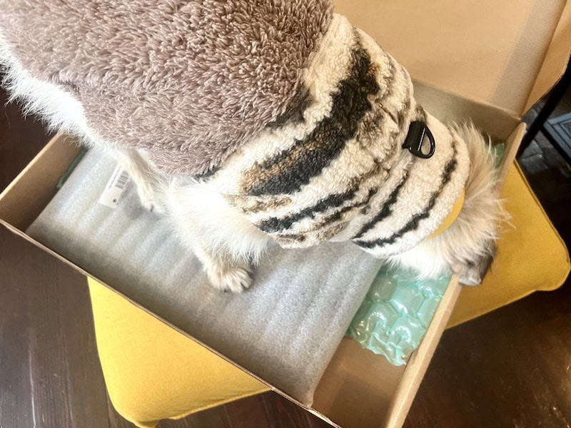 Purr and Mutt pet portrait packaging with Gizmo_Kate