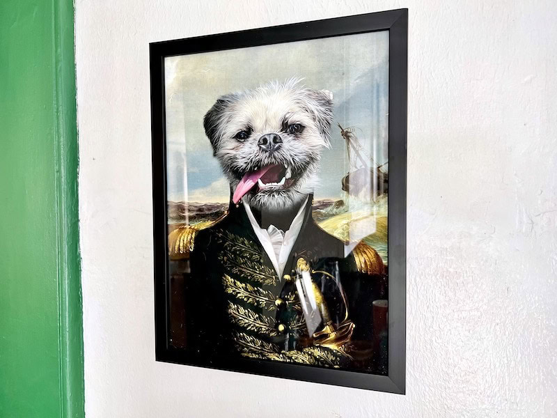 Purr and Mutt portrait of Gizmo as the Commodore hanging on wall_Kate