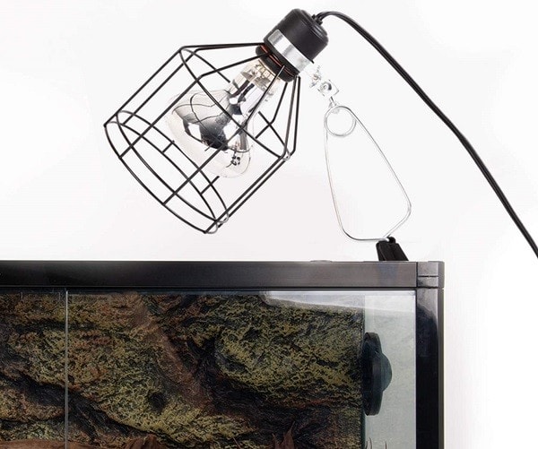 REPTI ZOO Spot Light Bulb