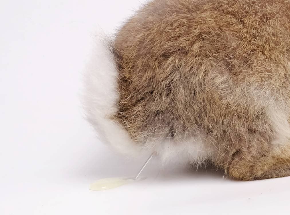 Rabbit Pee