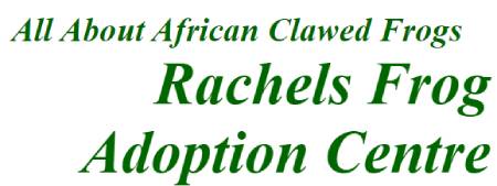 Rachels Frog Adoption Centre