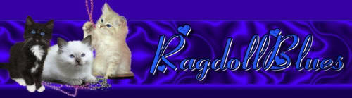 Ragdollblues logo