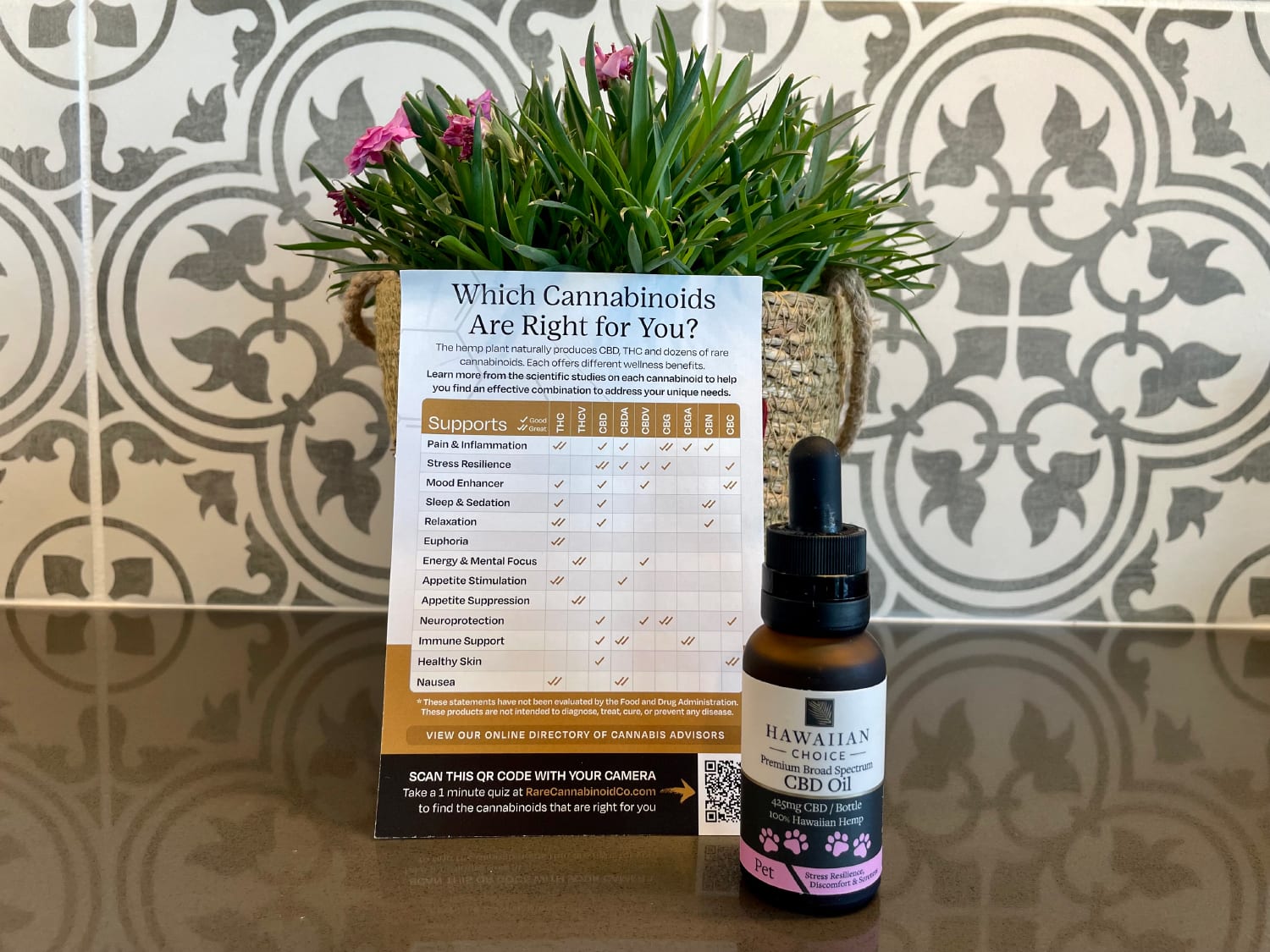 Rare Cannabinoid Dog CBD Oil - product bottle on the counter