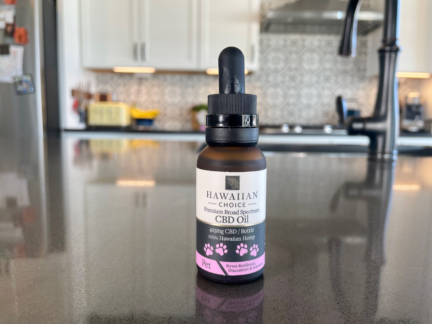 Rare Cannabinoid Dog CBD Oil - product on the counter