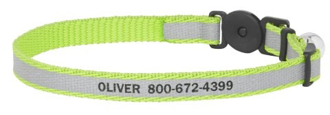Reflective Collar