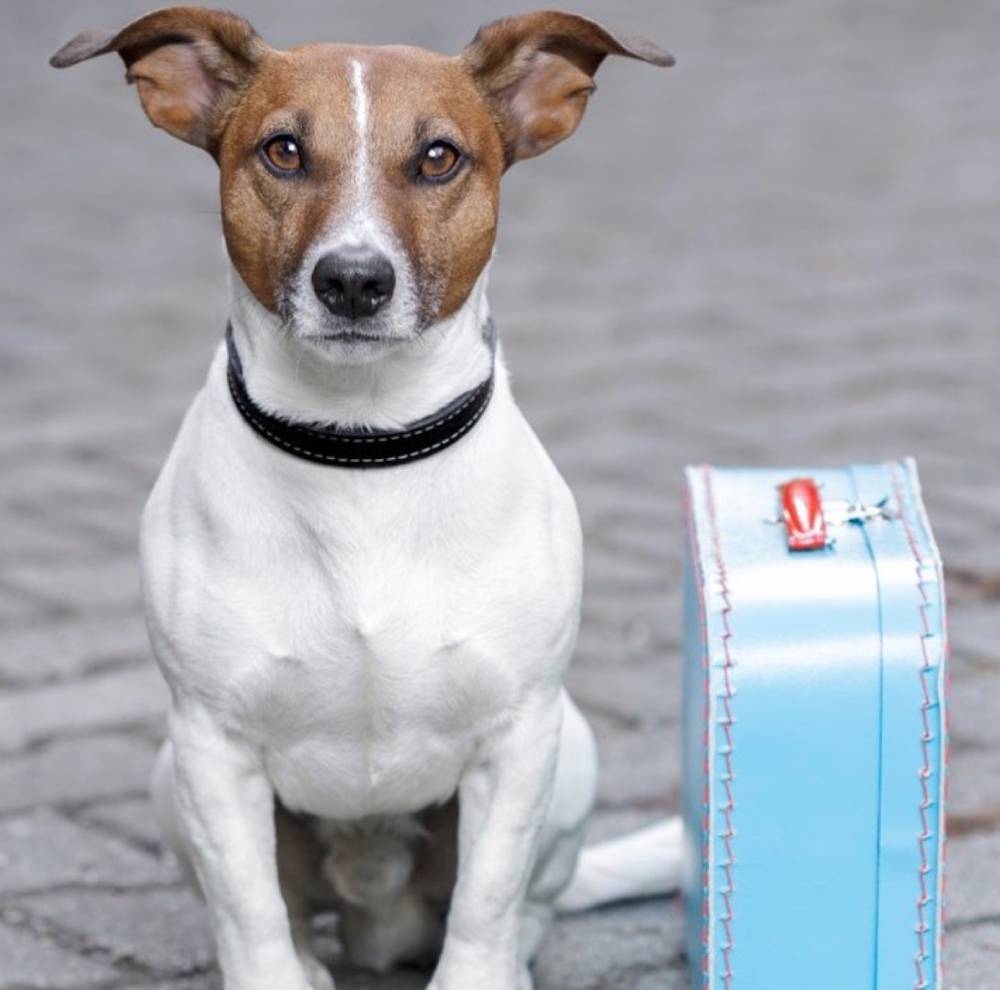 Residence Inn SeaWorld Orlando