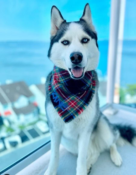 Residence Inn by Marriott Ocean City