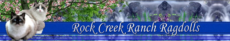 Rock Creek Ranch Ragdolls logo