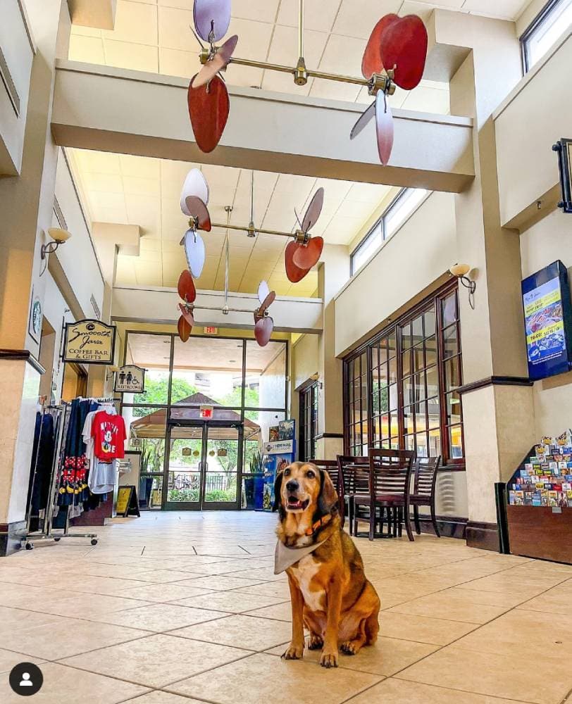 Rosen Inn at Pointe Orlando