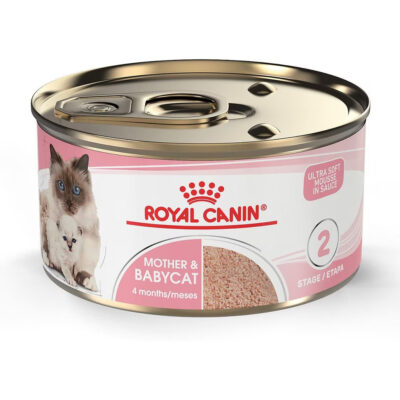 Royal Canin Mother & Babycat Wet Cat Food